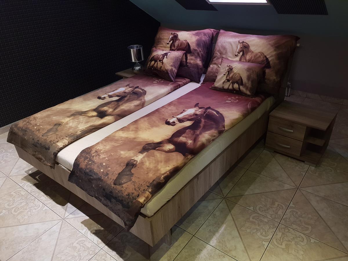 Adam Apartmanhaz Daire Segedin Dış mekan fotoğraf